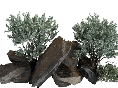 现代石头、灌木景观园艺小品