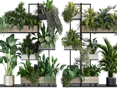 现代金属花架盆栽植物