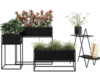 现代金属花盆花草盆栽植物