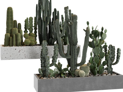 现代花坛多肉植物景观园艺小品