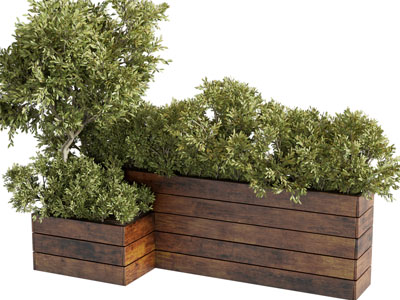 现代户外实木花盆盆栽植物