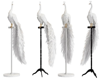 现代白色孔雀3d模型 现代白色孔雀