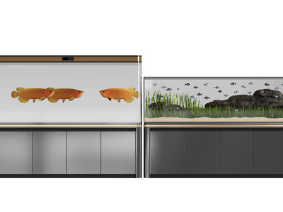 现代带收纳柜的鱼缸
