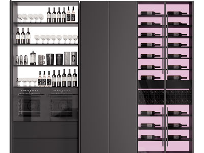 现代嵌入烤箱的酒柜