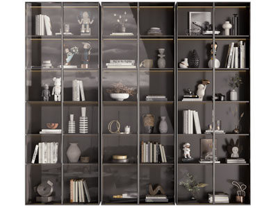 现代玻璃柜门的装饰柜