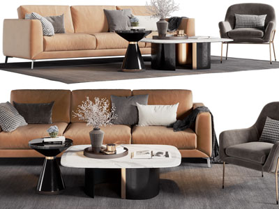现代多人沙发、休闲椅子和茶几组合
