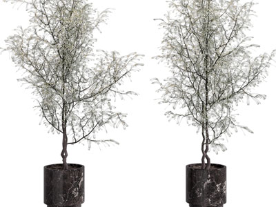 现代花盆盆景盆栽