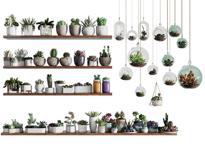 现代多肉绿植盆栽植物摆件组合