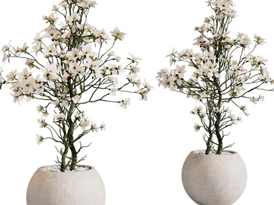 现代水泥花盆花卉盆栽植物