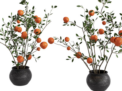 新中式花盆橘子树盆栽植物