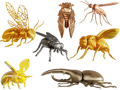 现代苍蝇、蜜蜂、蝉、金龟子昆虫动物