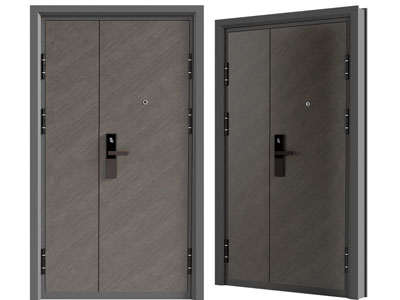 现代子母入户平开门