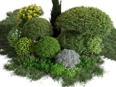 现代灌木从景观园艺小品
