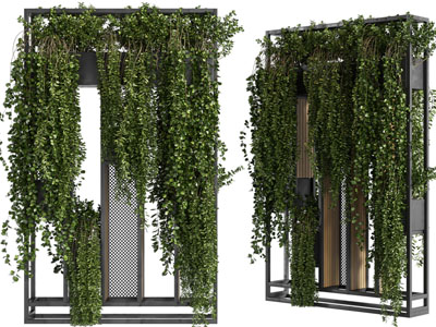 现代花架植物墙、藤蔓植物