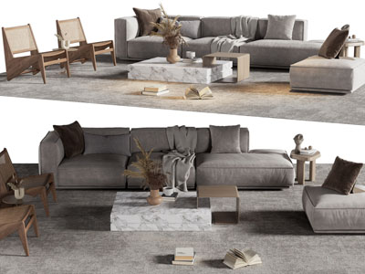 现代多人沙发、休闲椅子和茶几组合