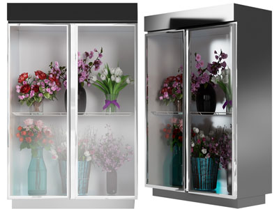 现代鲜花保鲜展柜