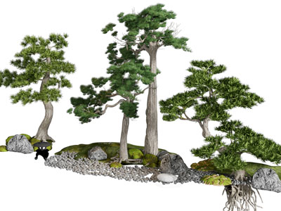 新中式松树石头景观园艺小品