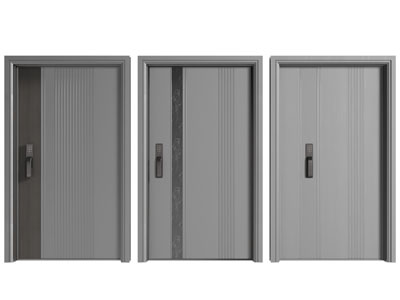 现代带密码锁的子母入户平开门