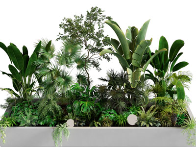 现代长方形花坛花草植物