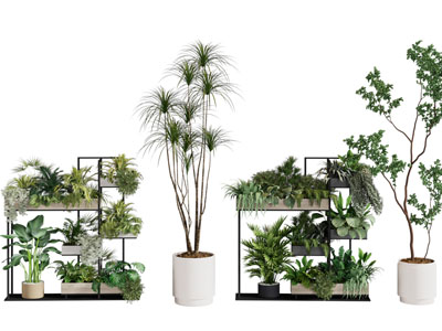 现代金属花架盆栽植物