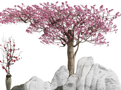 新中式花树、石头景观园艺小品