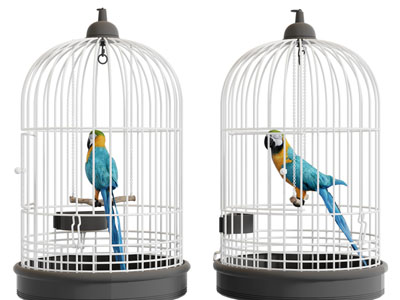 新中式鸟笼、鹦鹉