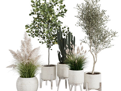 侘寂风花盆陶艺盆栽植物