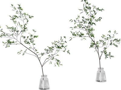 现代玻璃花瓶马醉木