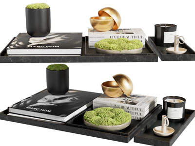 现代书籍、盆栽摆件组合