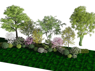 现代公园草地、花草、树木景观园艺小品