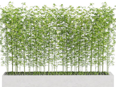 新中式竹子景观园艺小品