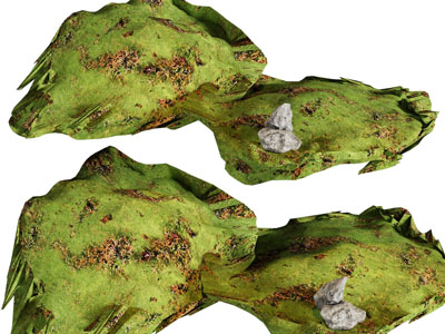 现代沼泽、草地、湿地