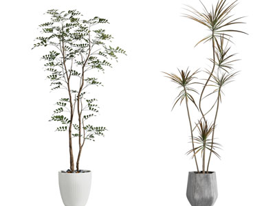 北欧花纹花盆盆栽植物