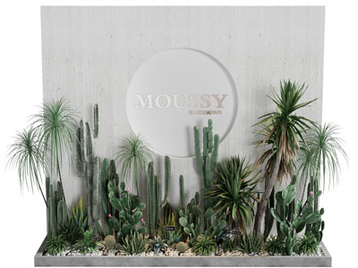 现代多肉植物景观园艺小品