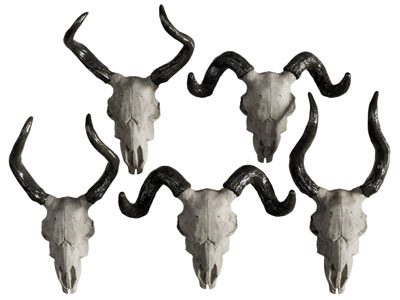 现代动物头骨墙饰挂件