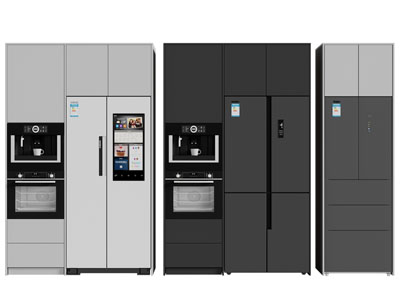 现代嵌入冰箱、烤箱的高柜橱柜