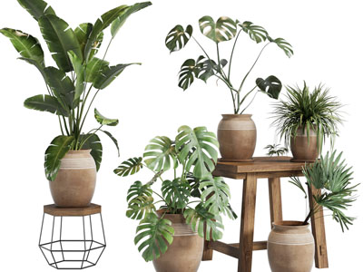 北欧陶艺花盆盆栽植物