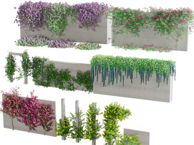 现代户外藤蔓植物墙