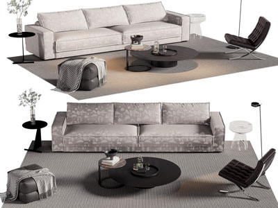 现代双人沙发、休闲椅子和茶几组合