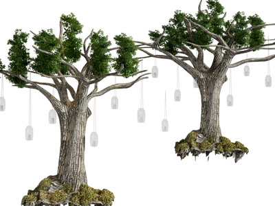 现代挂满许愿瓶的老树