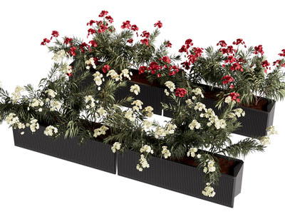 现代户外花盆花草盆栽植物