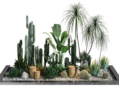 现代花坛多肉绿色植物景观园艺小品
