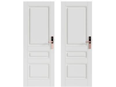 现代单扇平开门