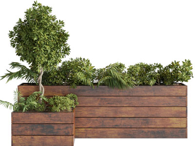 现代户外实木花盆灌木盆栽植物