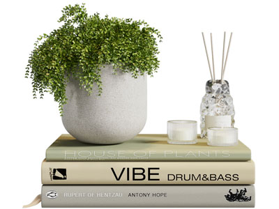 现代书籍、花盆盆栽植物摆件组合