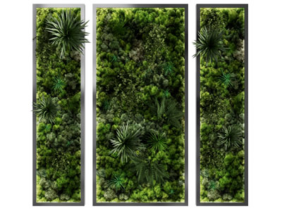 现代装饰长方形植物挂画3d模型 现代装饰长方形植物挂画
