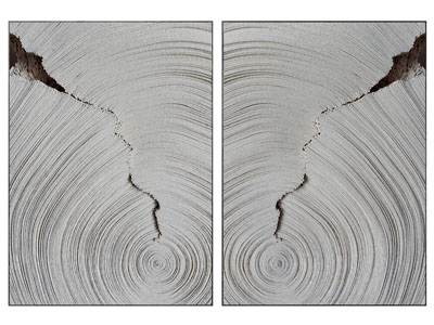 侘寂风装饰挂画3d模型 侘寂风装饰挂画