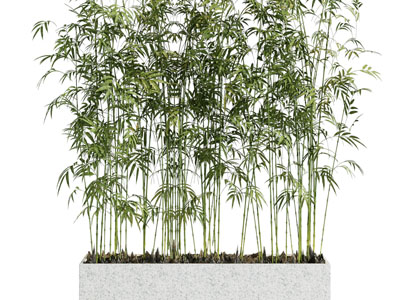 新中式花坛竹子