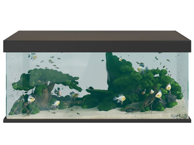 现代长方形鱼缸