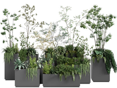 现代户外方形花盆盆栽植物